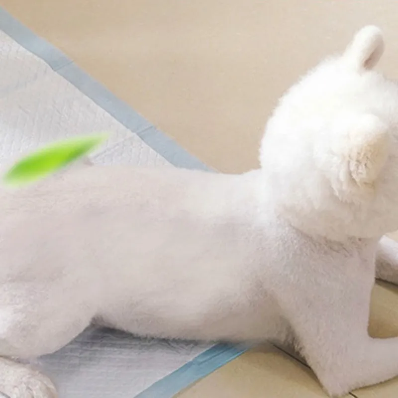 1 Bag Super Absorbent Pet Diaper Dog Training Pee Pads Disposable