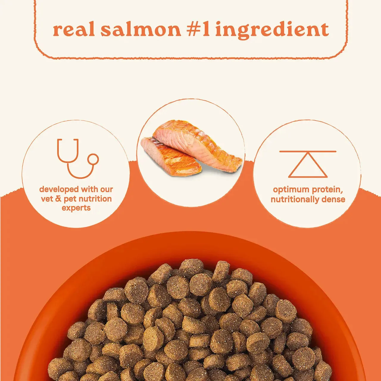 All Life Stages Dry Dog Food, Real Salmon & Ancient Grains Recipe