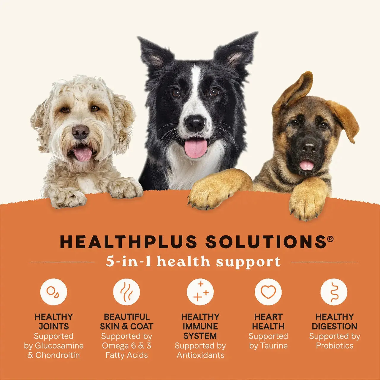 All Life Stages Dry Dog Food, Real Salmon & Ancient Grains Recipe