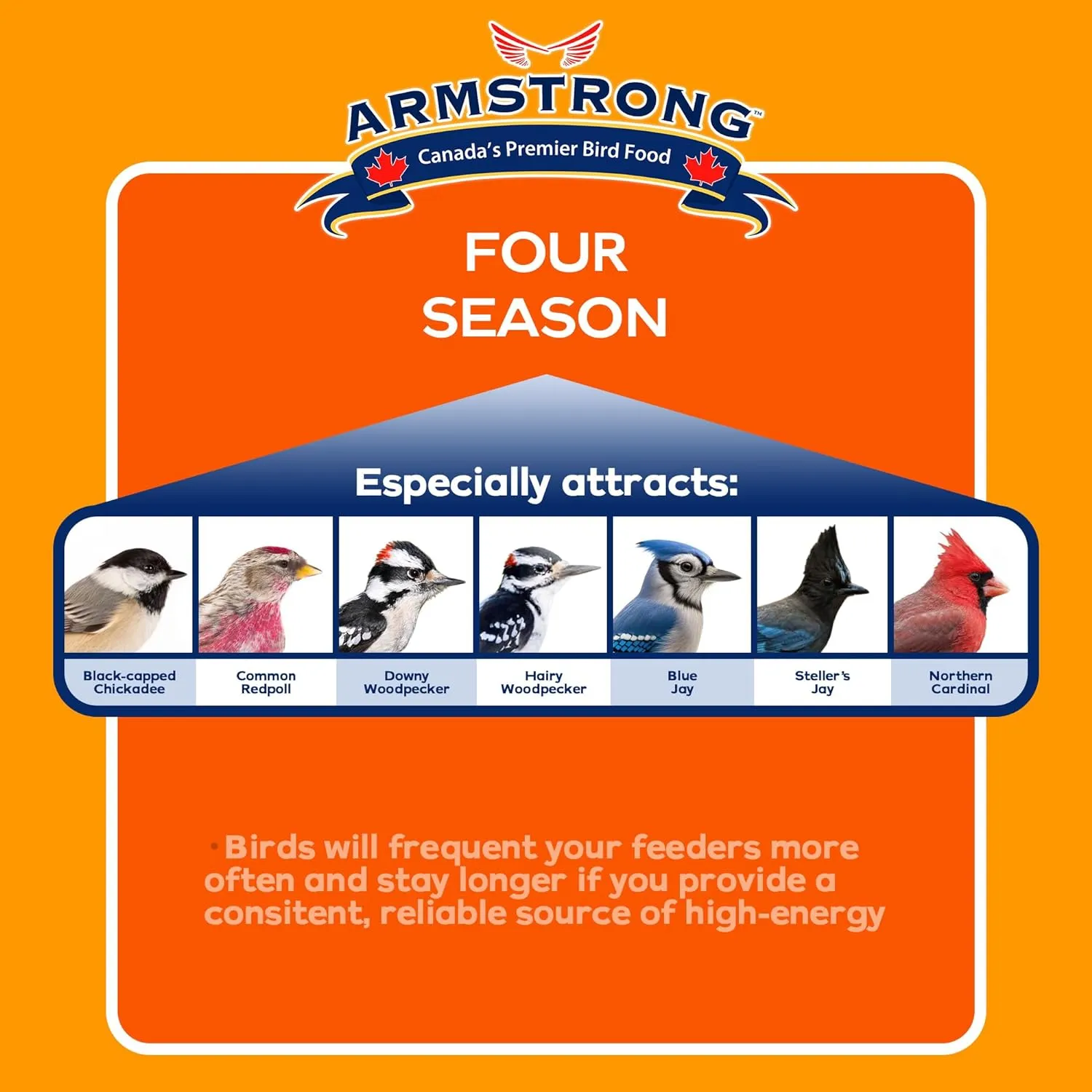 Armstrong Four Season Suet 320g