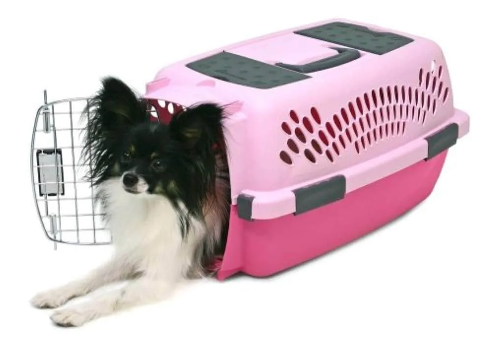 Aspen Pet Porter Heavy-Duty Pet Carrier