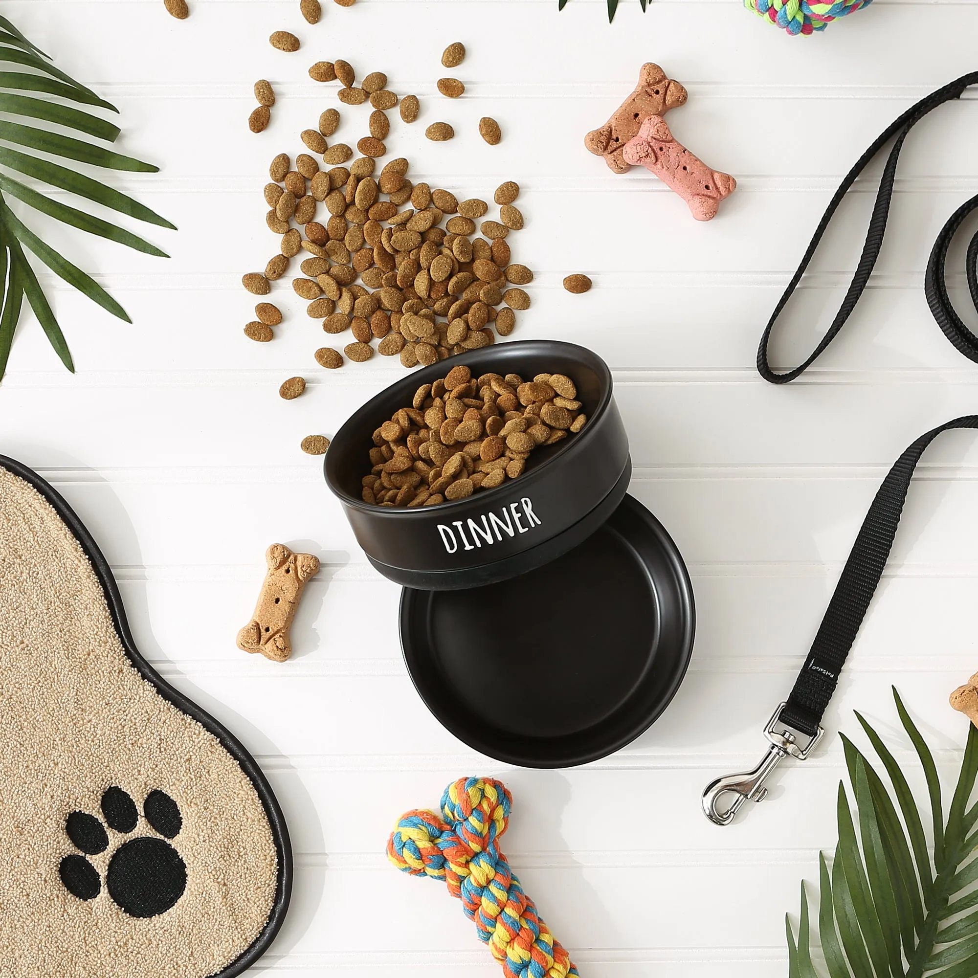 Black Dinner Drinks & Dessert Pet Bowl Set of 2, Medium - 1.5 C. Capacity