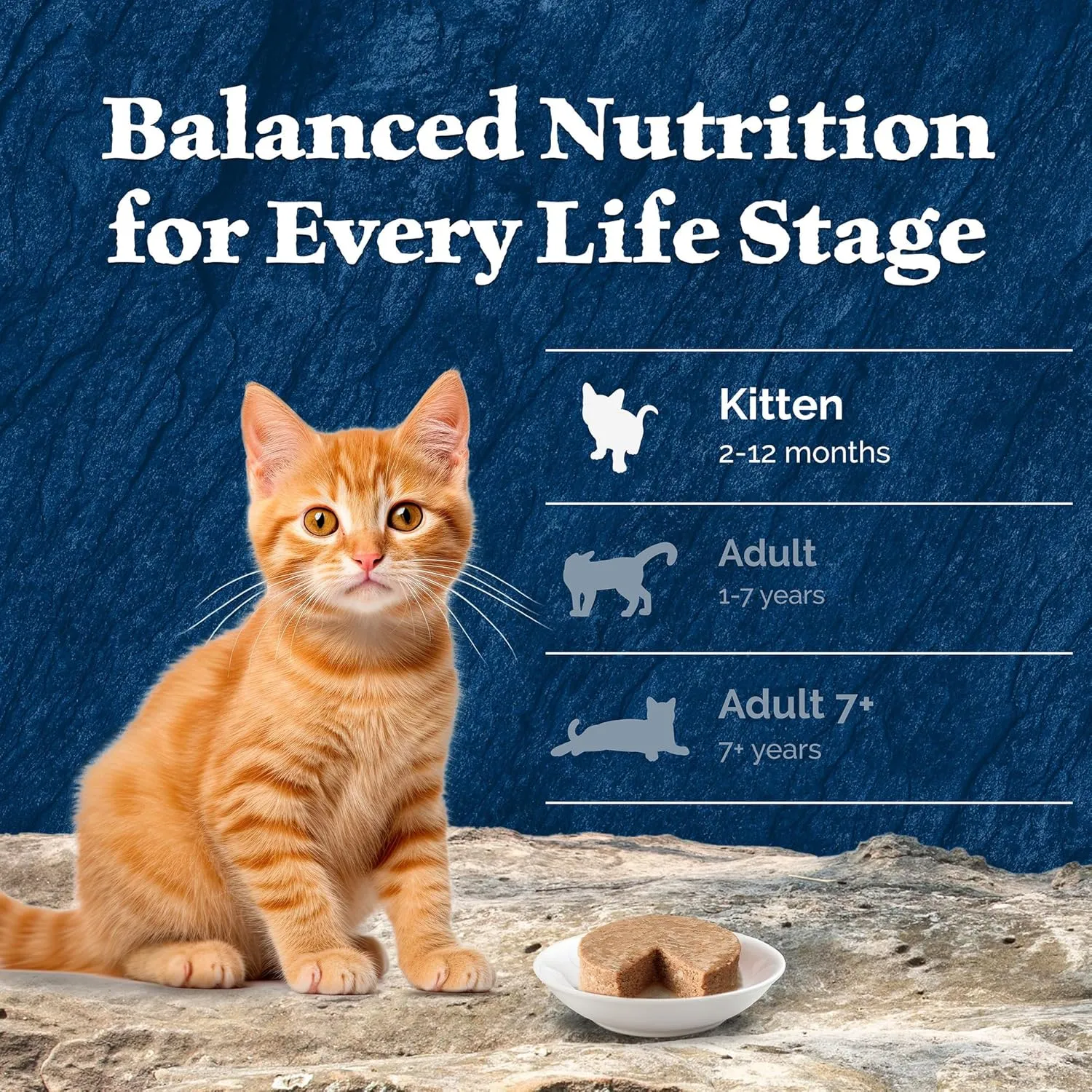 Blue Buffalo Wilderness Kitten Food, High-Protein & Grain-Free Wet Cat Food Pat Variety Pack, Chicken & Salmon Recipes, 3-oz. Cans (6 Count, 3 of Each)