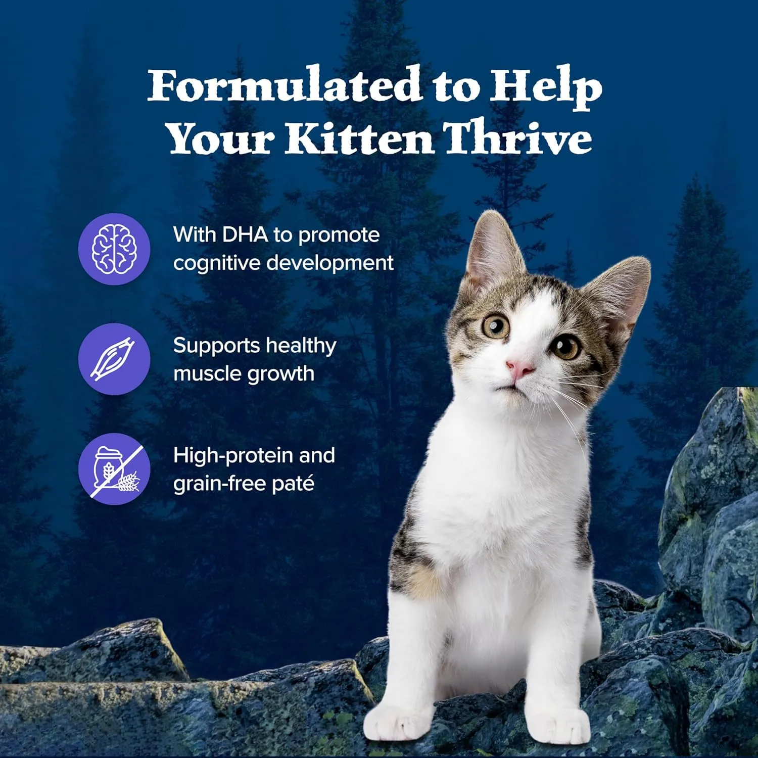 Blue Buffalo Wilderness Kitten Food, High-Protein & Grain-Free Wet Cat Food Pat Variety Pack, Chicken & Salmon Recipes, 3-oz. Cans (6 Count, 3 of Each)