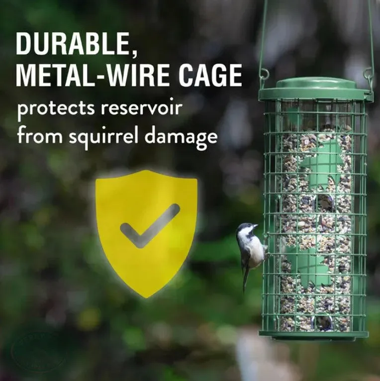 Brass Squirrel Stumper (700-114)