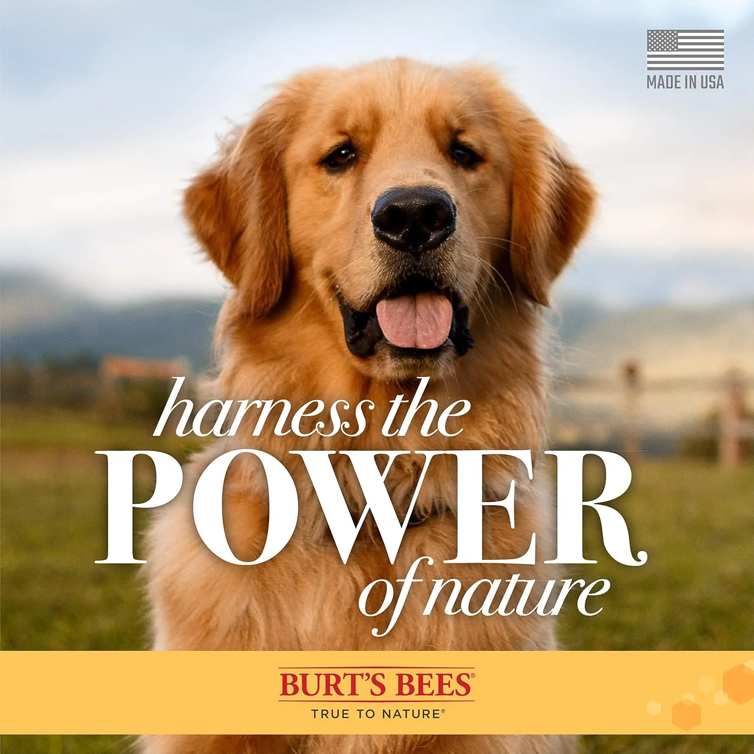 Burt's Bees for Pets Naturally Derived Oatmeal Conditioner with Colloidal Oat Flour & Honey - Dog Oatmeal Shampoo - Cruelty Free, Made in the USA - 10 Oz - 6 Pack