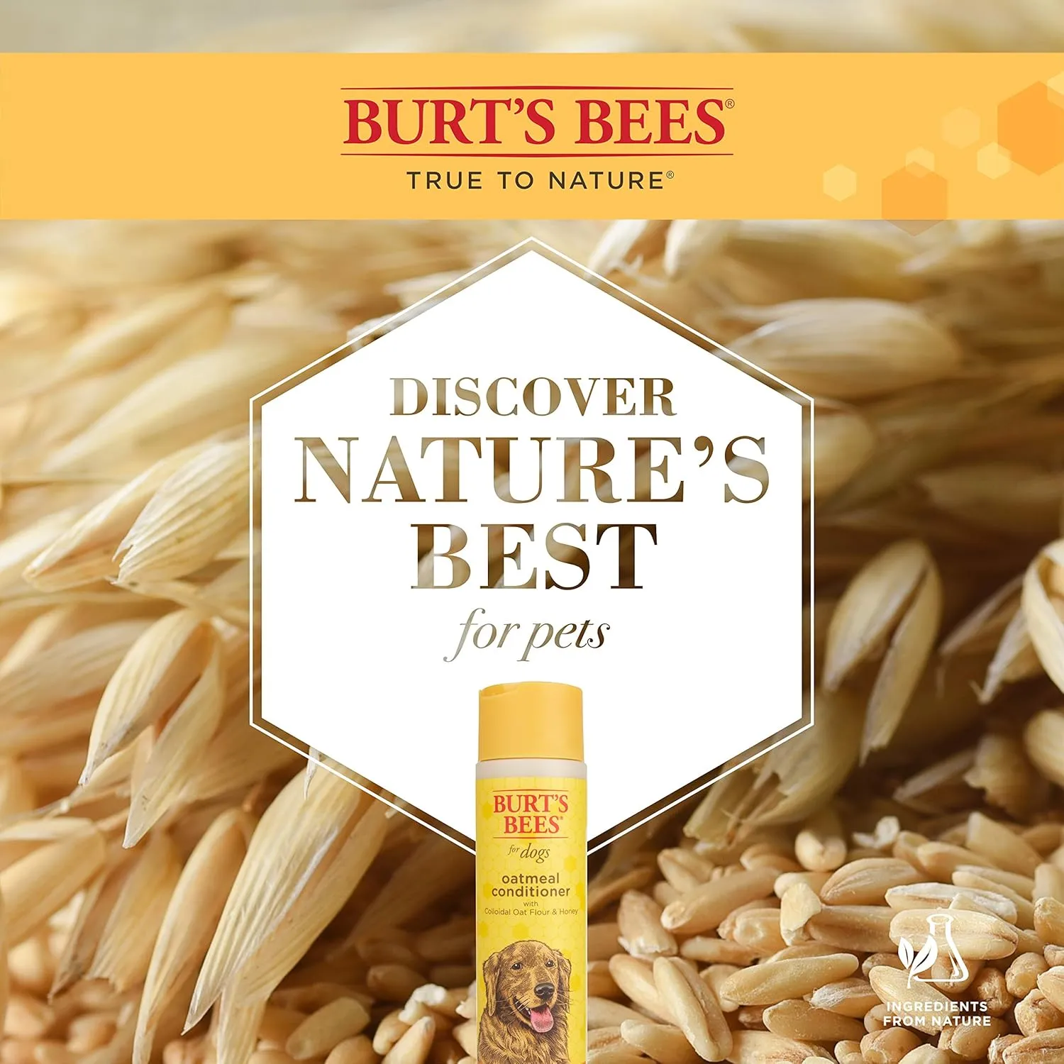 Burt's Bees for Pets Naturally Derived Oatmeal Conditioner with Colloidal Oat Flour & Honey - Dog Oatmeal Shampoo - Cruelty Free, Made in the USA - 10 Oz - 6 Pack