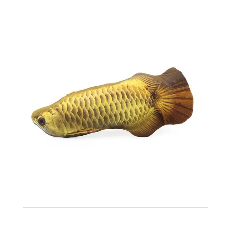 Cat Favor Fish Toys