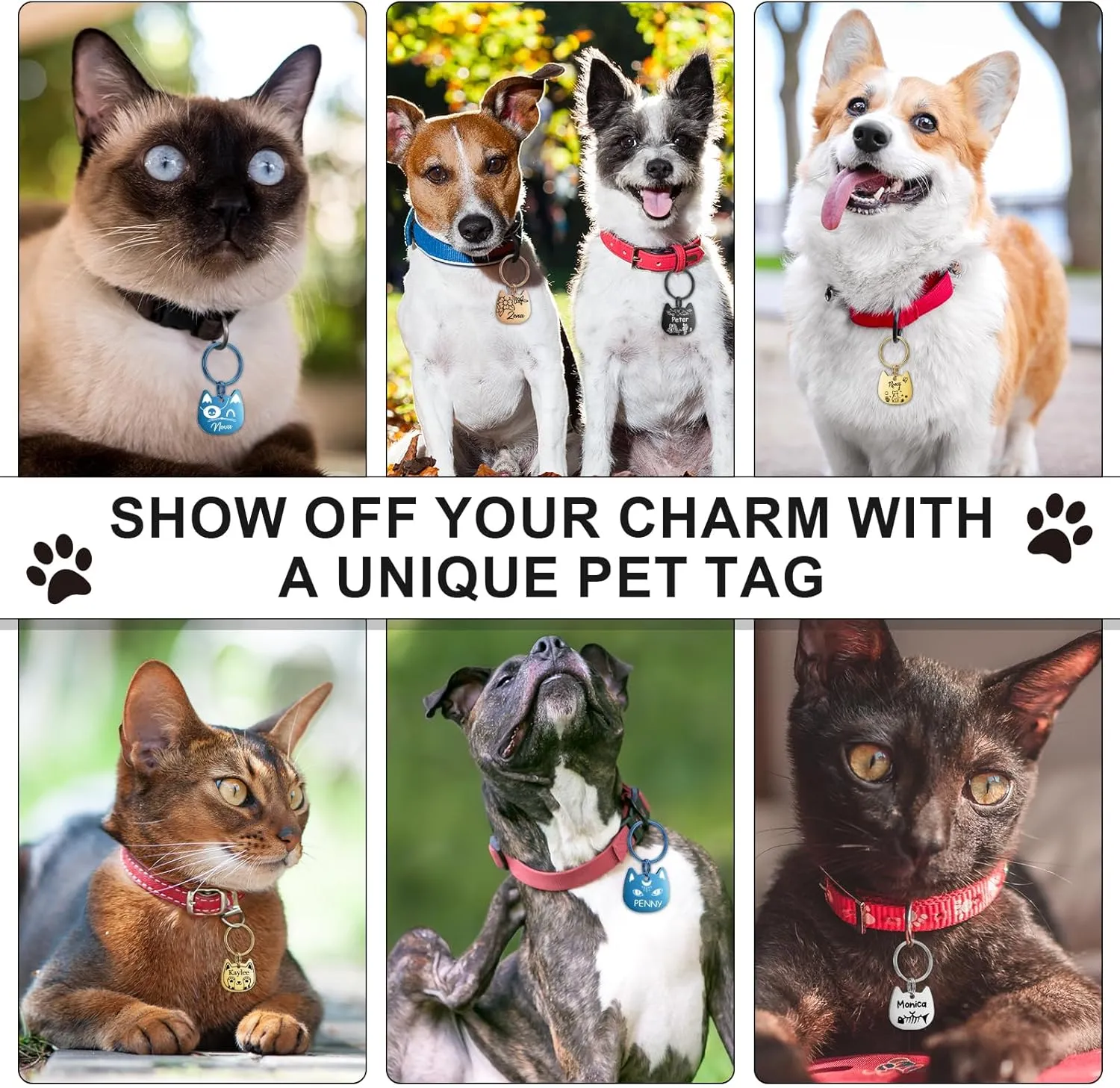 Cat Tags Personalized, Cat Dog ID Tag Custom Dogs Stainless Steel Name Tag Customized Pet Tags Both Side Engravable Kitten Puppy Name Tags(Blue, S)