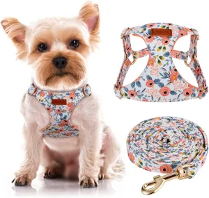 CHEDE No Pull Floral Pattern Dog Harness- Lightweight, Soft, Adjustable Small Harness and Leash Set, Suitable for Puppy Small and Medium-Sized Dog (XXS, Orange Rose)