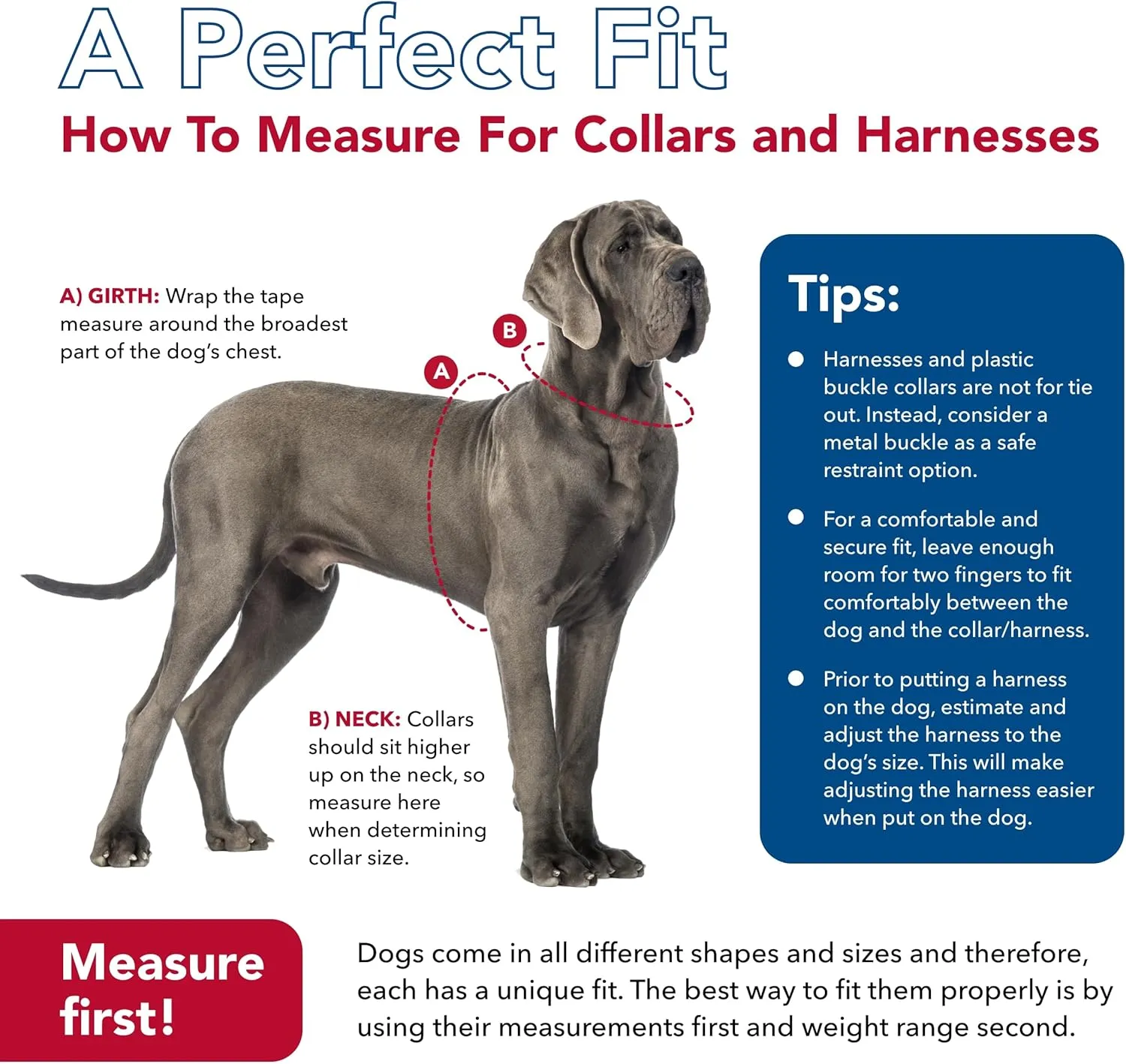 Coastal Pet SecureAway Collar Protector for Flea Collars - Adjustable pet Accessory - Protective Flea Collar for Dogs & Puppy - Multi Paws, 1" x 14-20"