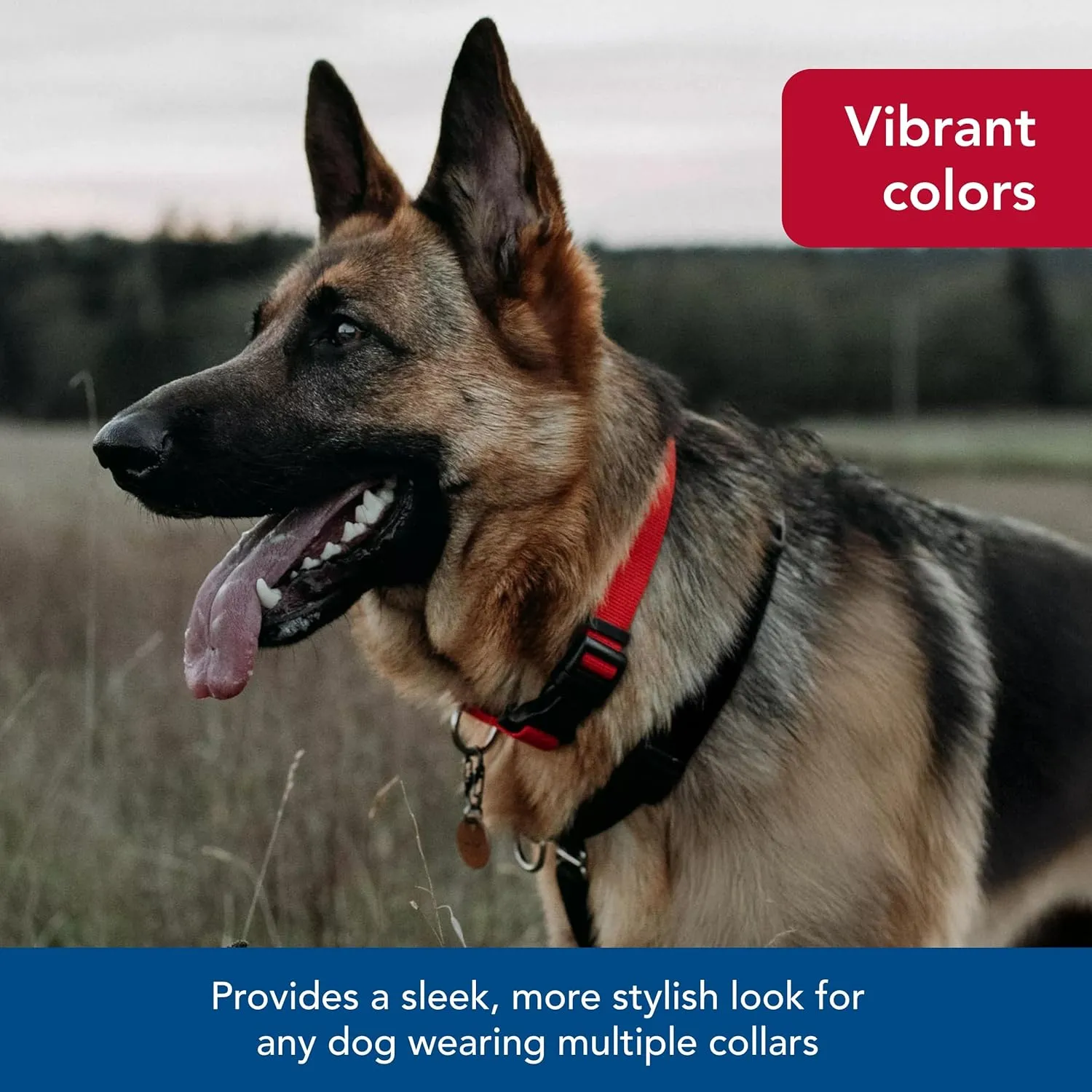Coastal Pet SecureAway Collar Protector for Flea Collars - Adjustable pet Accessory - Protective Flea Collar for Dogs & Puppy - Multi Paws, 1" x 14-20"