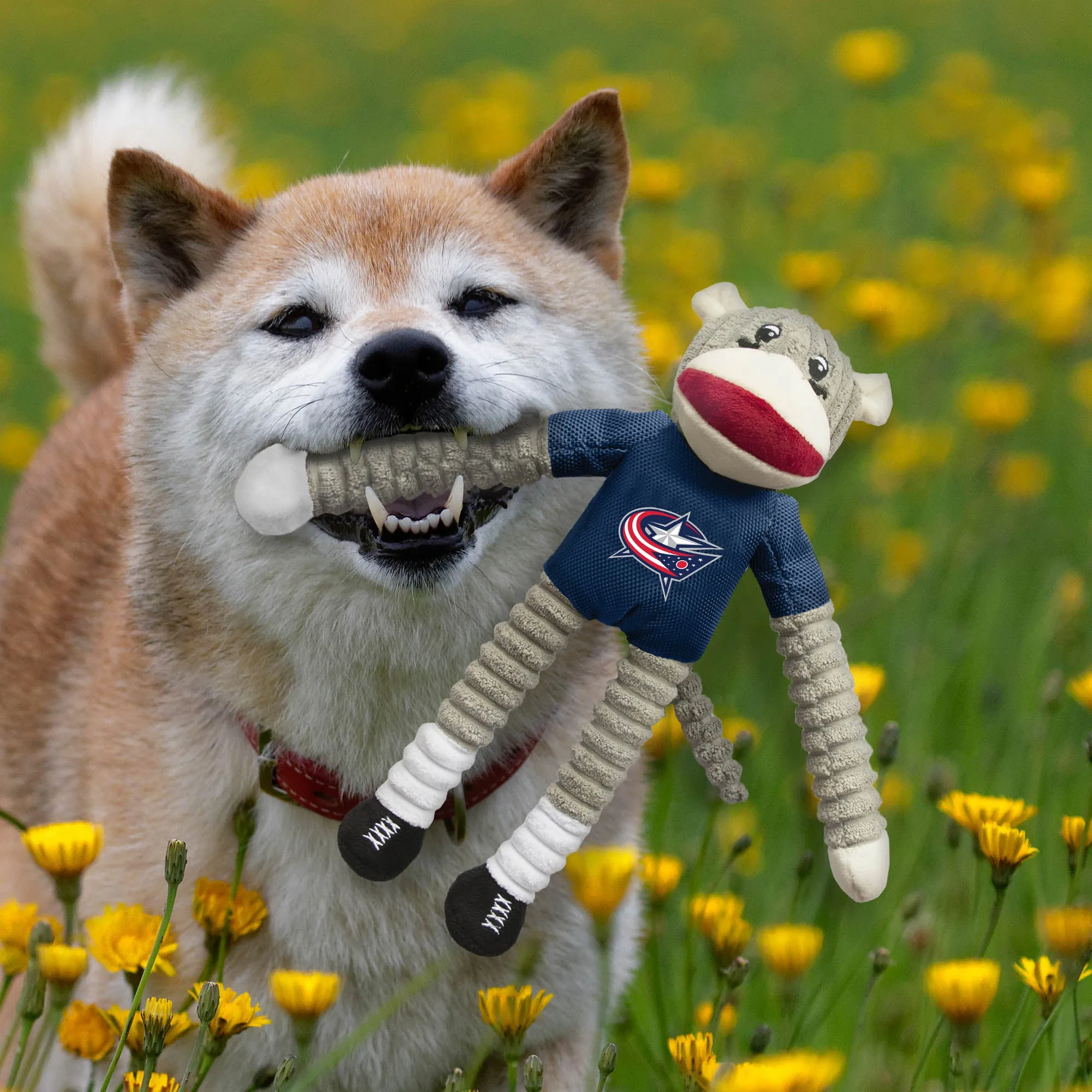 Columbus Blue Jackets Team Sock Monkey Pet Toy