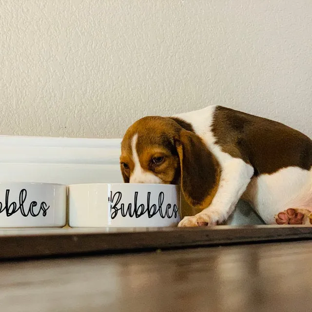 Design Your Own Pet Food Bowl Ceramic 6" or 7" White