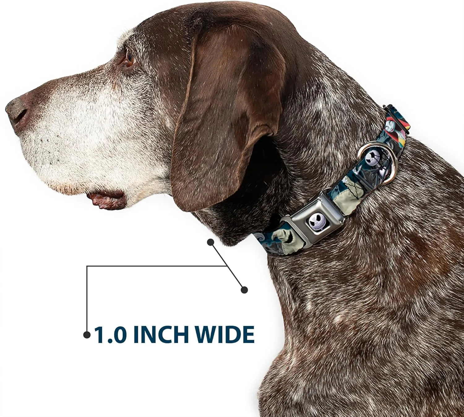 Dog Collar Seatbelt Buckle Nightmare Before Christmas 4 Character Group Cemetery Scene 13 to 18 Inches 1.5 Inch Wide Multicolor