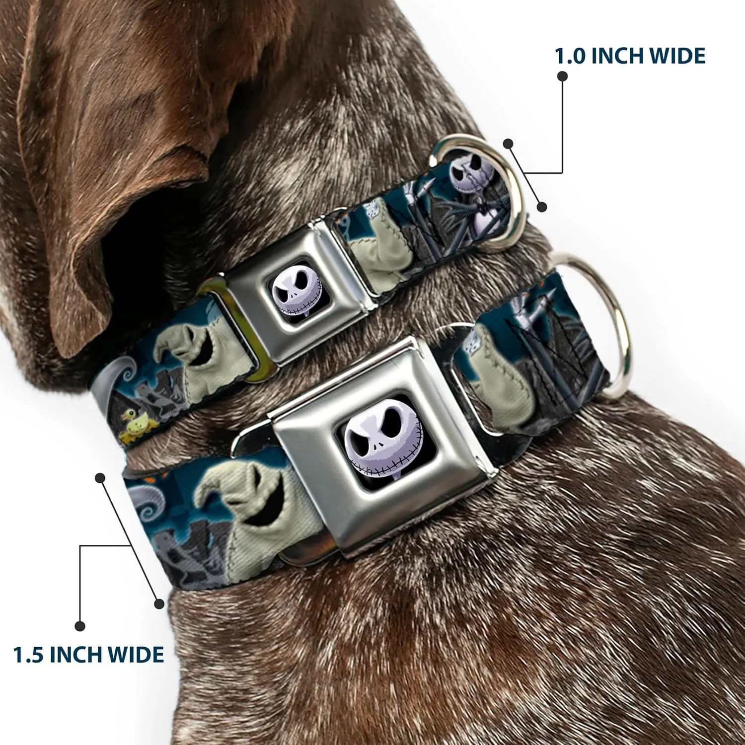 Dog Collar Seatbelt Buckle Nightmare Before Christmas 4 Character Group Cemetery Scene 13 to 18 Inches 1.5 Inch Wide Multicolor