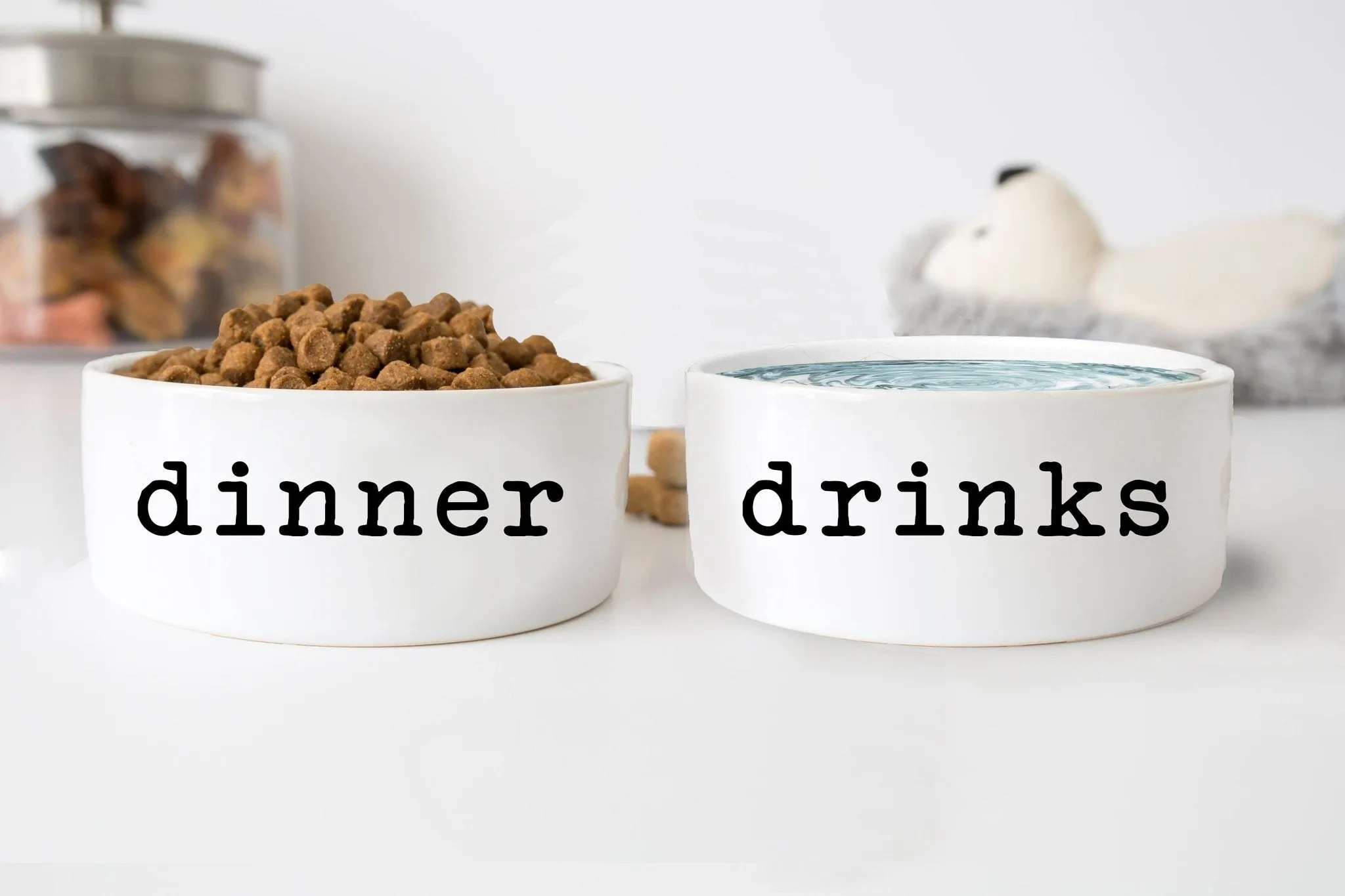 Dog Food and Water Bowls: Ceramic Funny Dinner and Drinks Pet Bowls, 2 Sizes