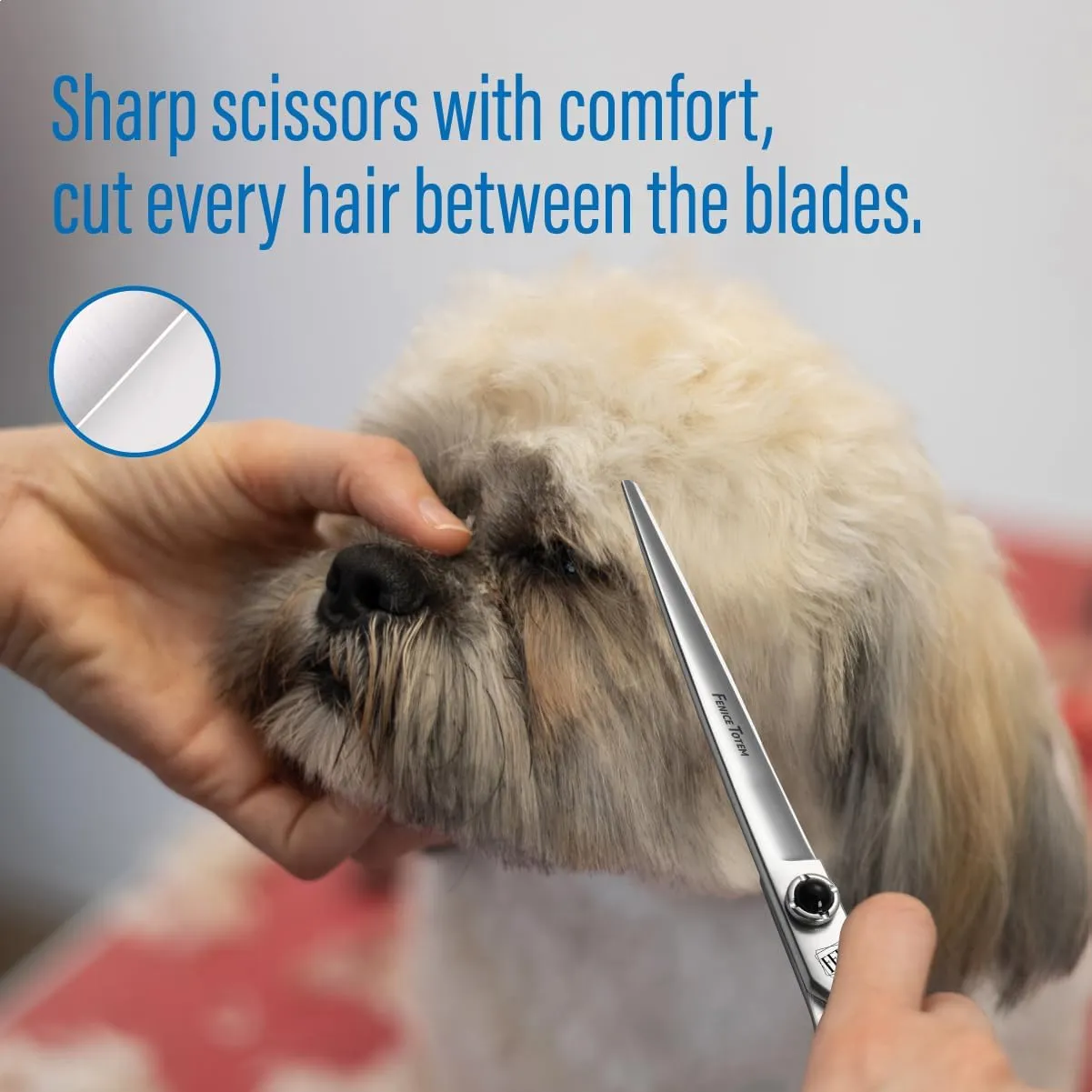 Dog Grooming Scissors: 5 in 1 Pet Shears Kit Made Of Japanese 9CR Advanced Stainless Steel Professional Grooming Scissors for Dogs Cats and Other Pets