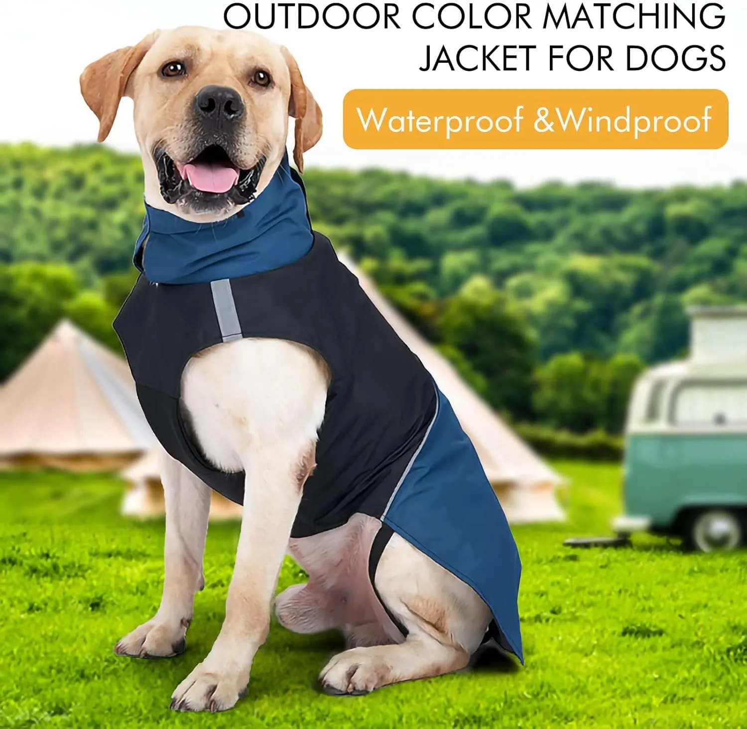 Dog Warm Coats - Windproof Dog Winter Outdoor Jackets Cold Weather Coats for Dog Waterproof Dog Raincoats with Hole for Dog Leash,Black Blue M