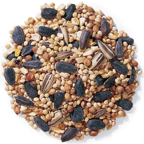 Duncraft Traditional Mix Wild Bird Seed, 5-lb bag