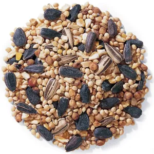 Duncraft Traditional Mix Wild Bird Seed, 5-lb bag