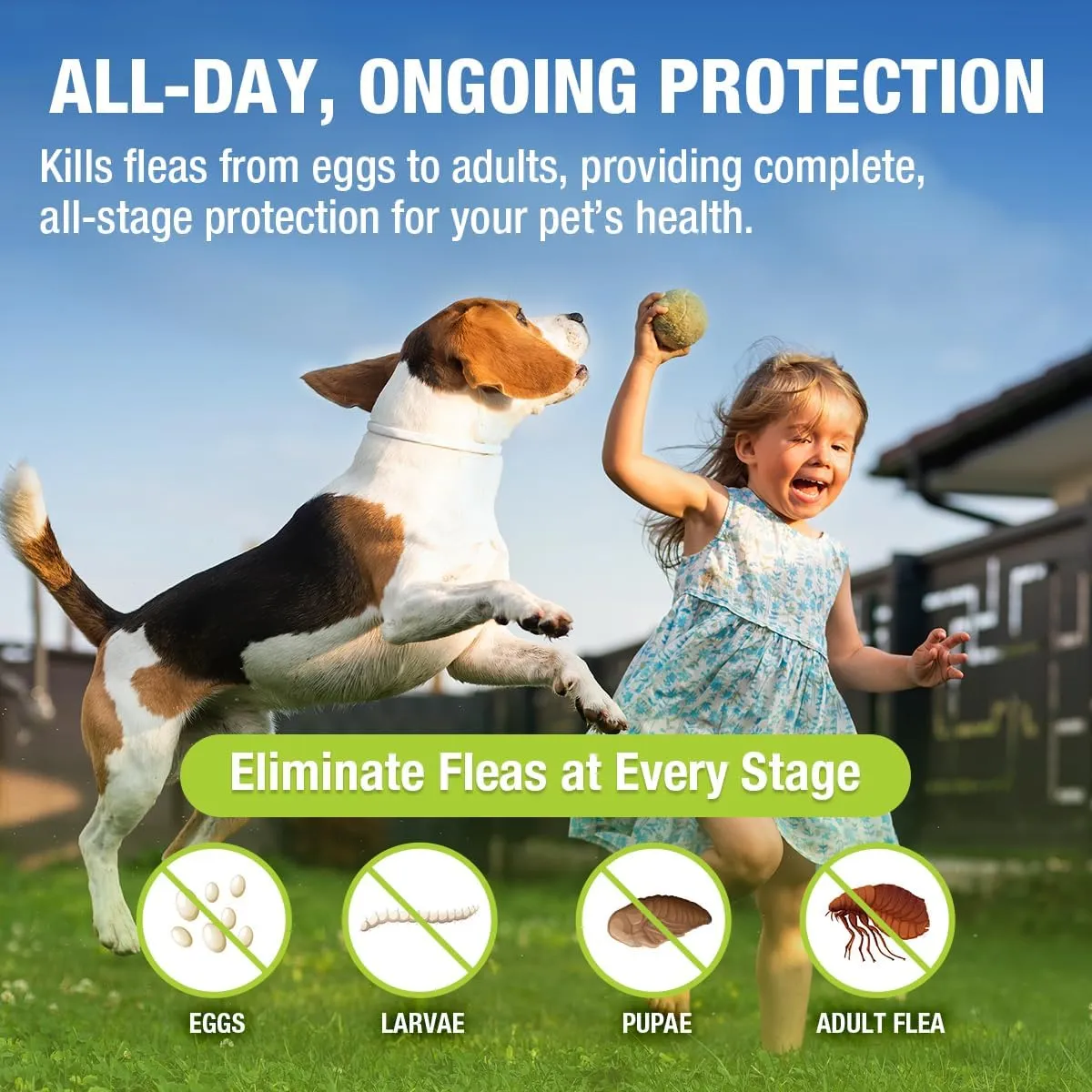 EcoVenger Flea & Tick Collar Repellent 2-Pack White, Fits Both Dogs & Cats, Built-in Pant-Based Formula Strong Repellency Slow Release, Lasting Deterrence and Protection, Pleasant Aroma, Waterproof