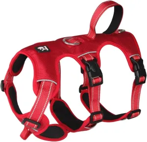 FEimaX Dog Harness No Pull Soft Padded Dog Vest with 3 Leash Clips and Easy Control Handle Reflective Adjustable No Choke Pet Harnesses for Medium and Large Dogs Training Walking (Red, X-Large)