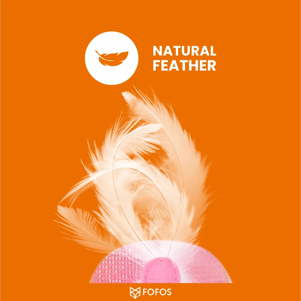 Fofos Interactive Wand Teaser for Cats