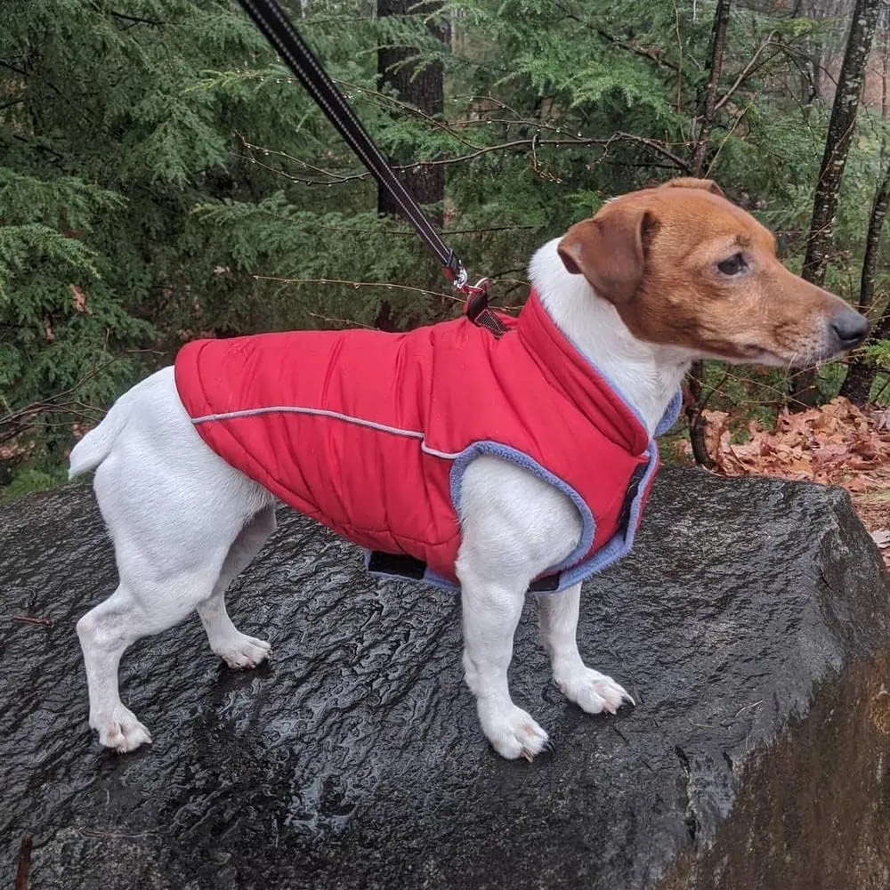 Gooby - Sports Vest, Fleece Lined Small Dog Cold Weather Jacket Coat Sweater with Reflective Lining, Red, Medium