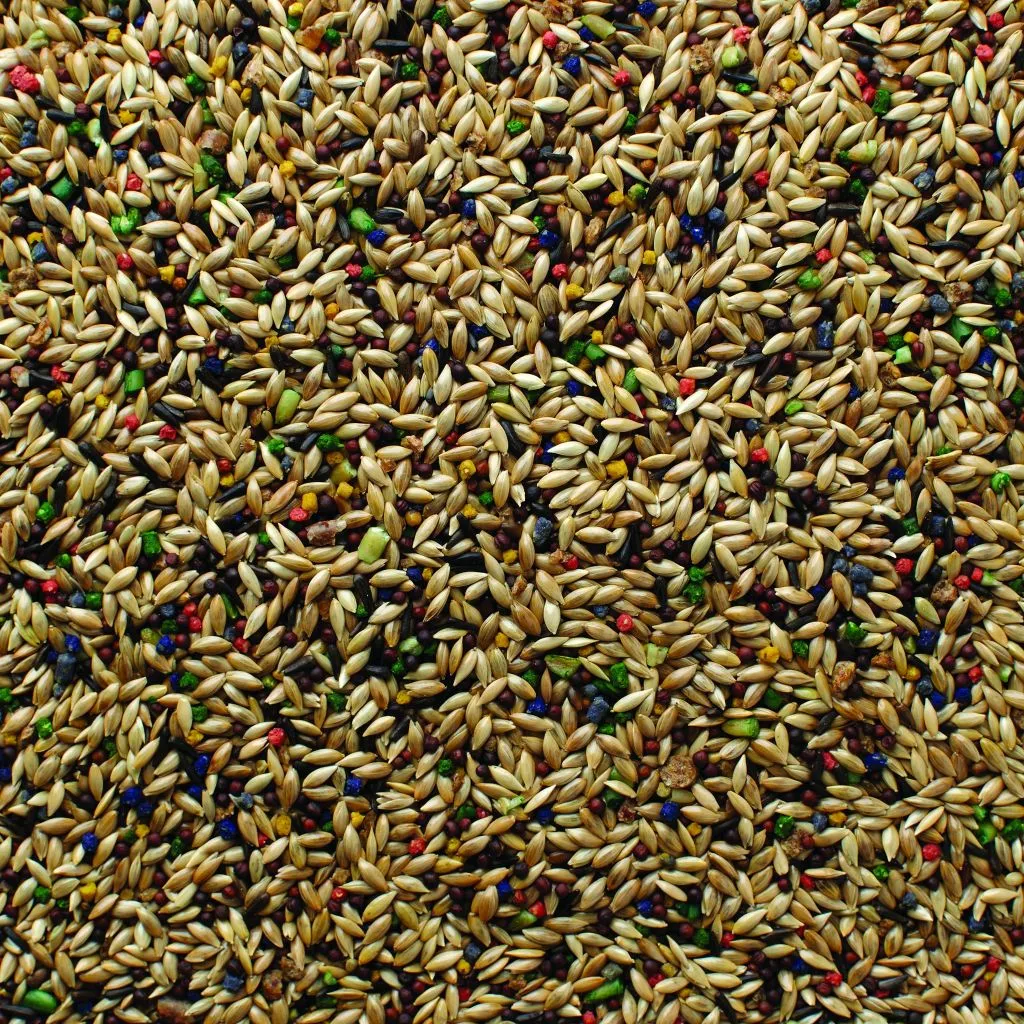 Grains Plus Canary Blend Bird Seed