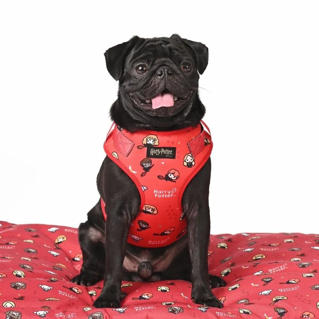 Harry Potter - Friends of Harry Potter Harness