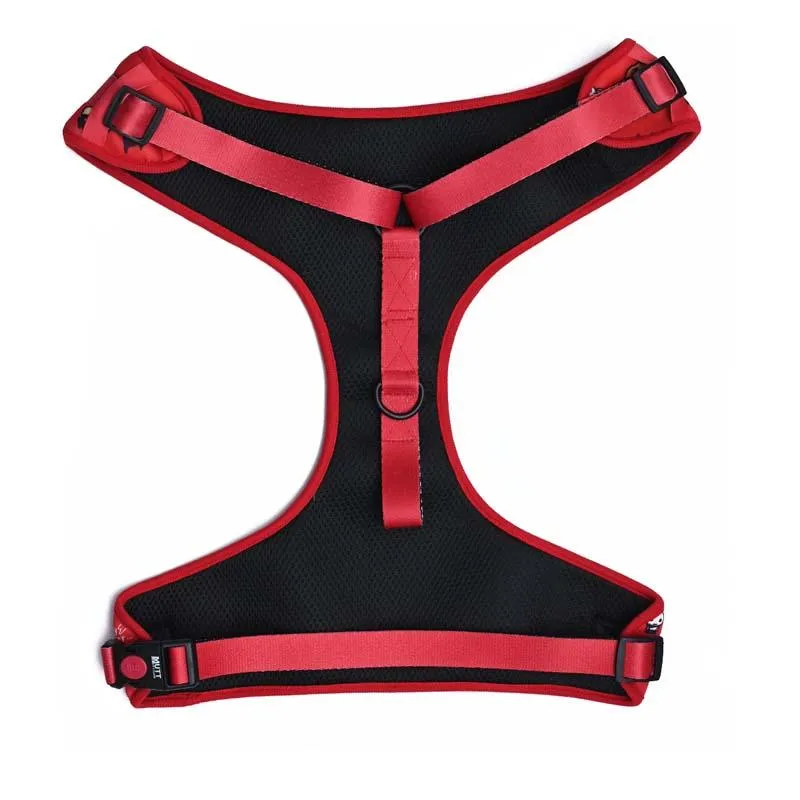 Harry Potter - Friends of Harry Potter Harness