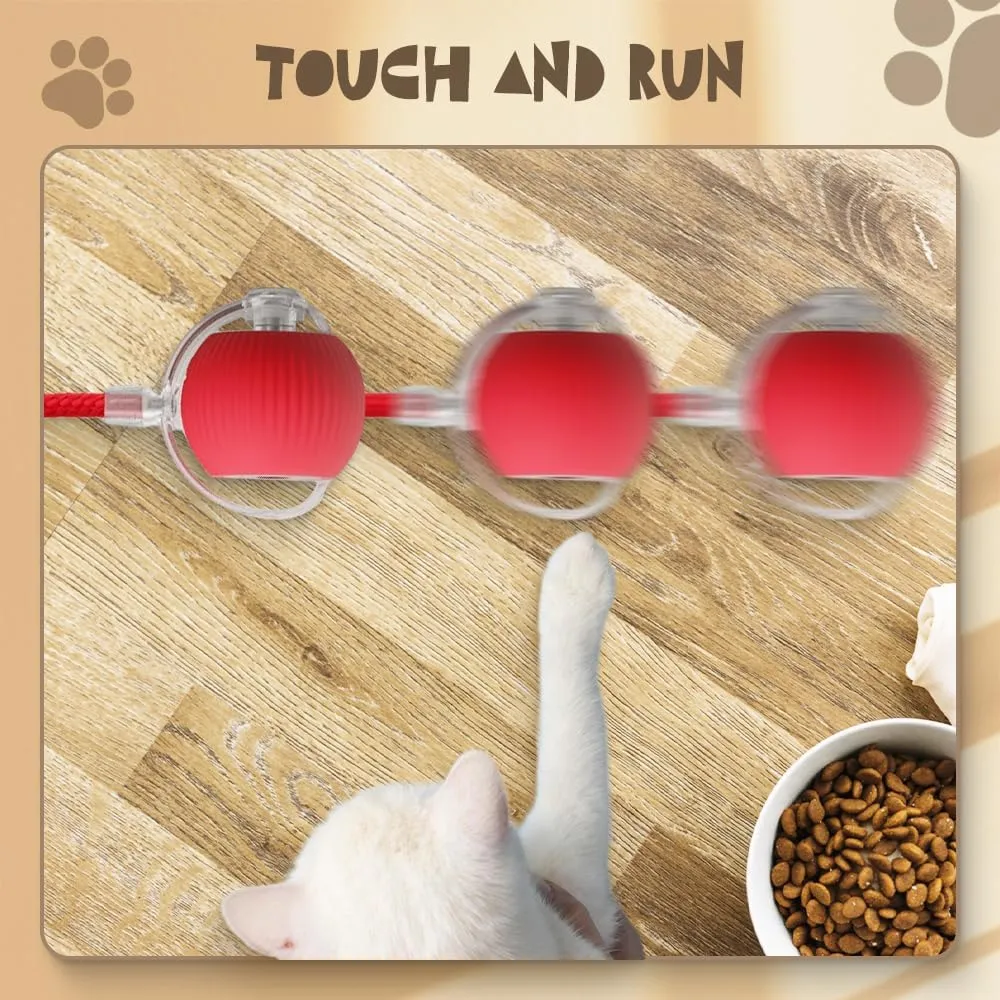 Interactive Cat Toys Ball for Indoor, 2024 New Automatic Moving Dog Toy Puppies Toys, Upgrade Multicolor Rolling Ball Motion Activate Rolling Ball Smart Automatic Rolling Pet Ball (Grey)
