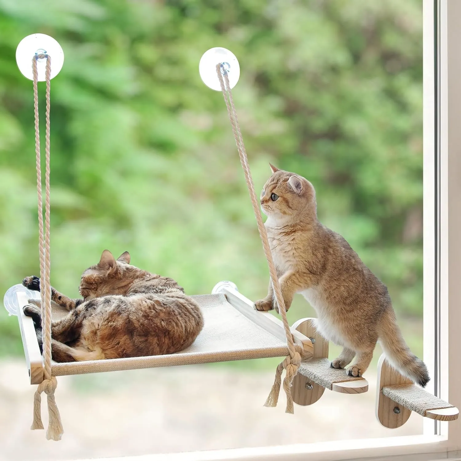 Large Cat Window Perch with 2 Steps, Easy to Assemble Cat Hammock for Window Indoor/Outdoor Cat Seat/Bed Universal for Big Cats and Kittens(40 Lbs), 1 Pack with 2 Cat Steps