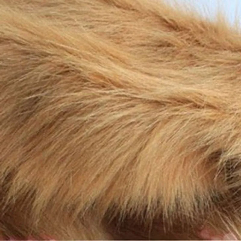 Lion Mane Costume for Dogs