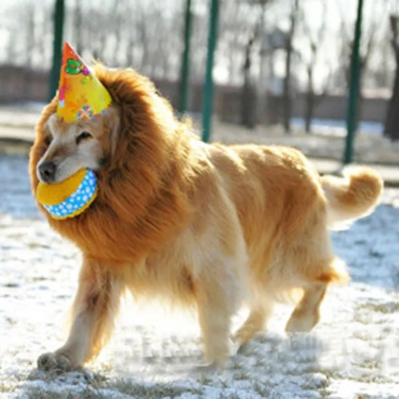 Lion Mane Costume for Dogs