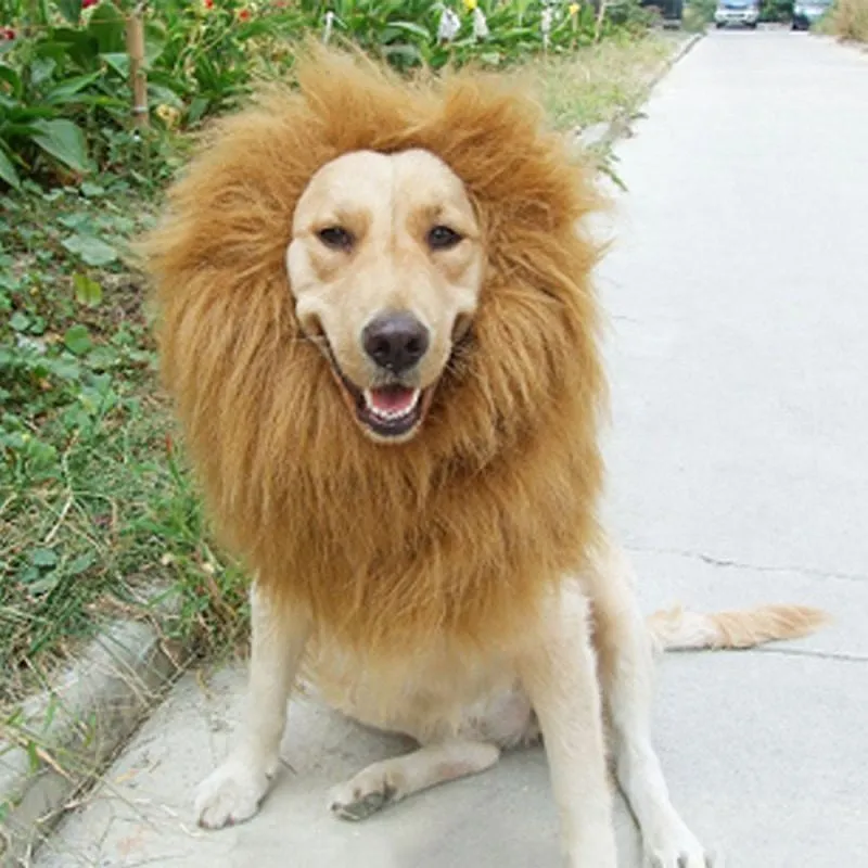 Lion Mane Costume for Dogs