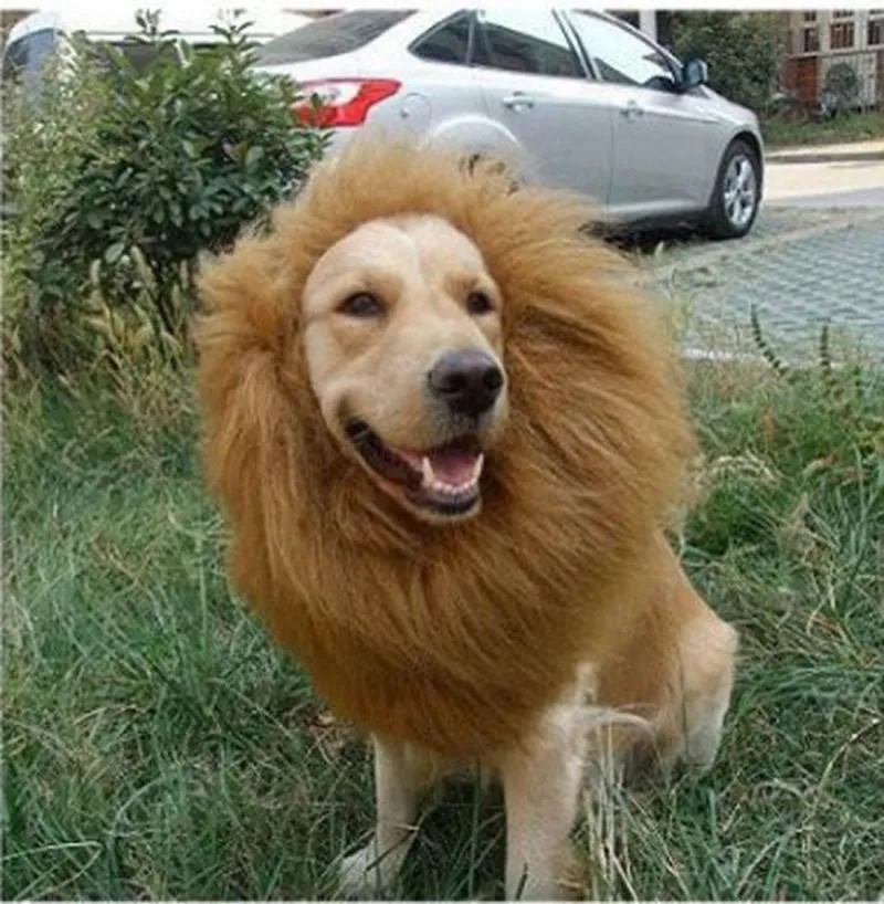 Lion Mane Costume for Dogs