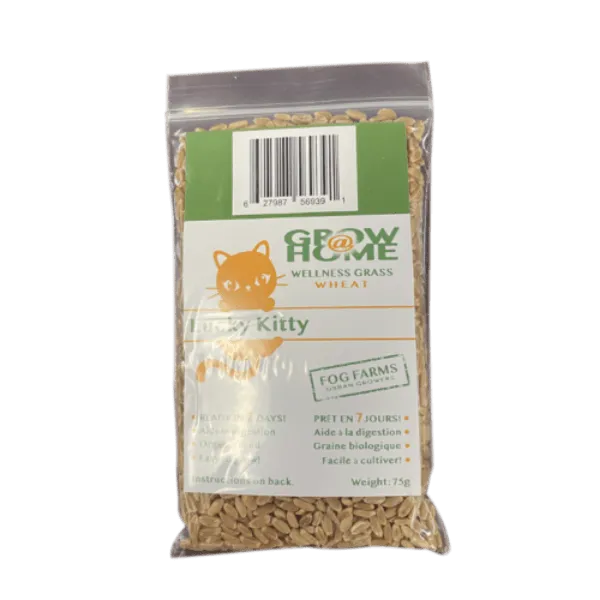 Lucky Kitty Grow @ Home Cat Grass Home Grow Kit; Wheat Refill Pack