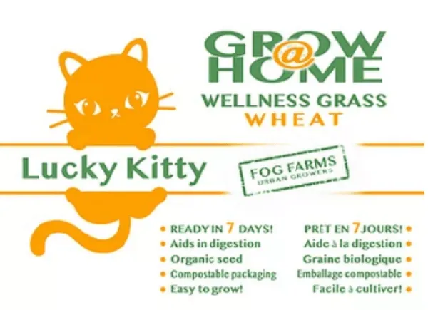 Lucky Kitty Grow @ Home Cat Grass Home Grow Kit; Wheat Refill Pack