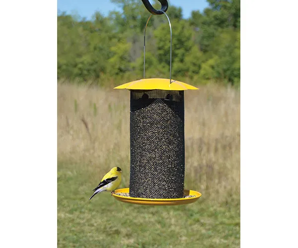 Mammoth Yellow Thistle Feeder