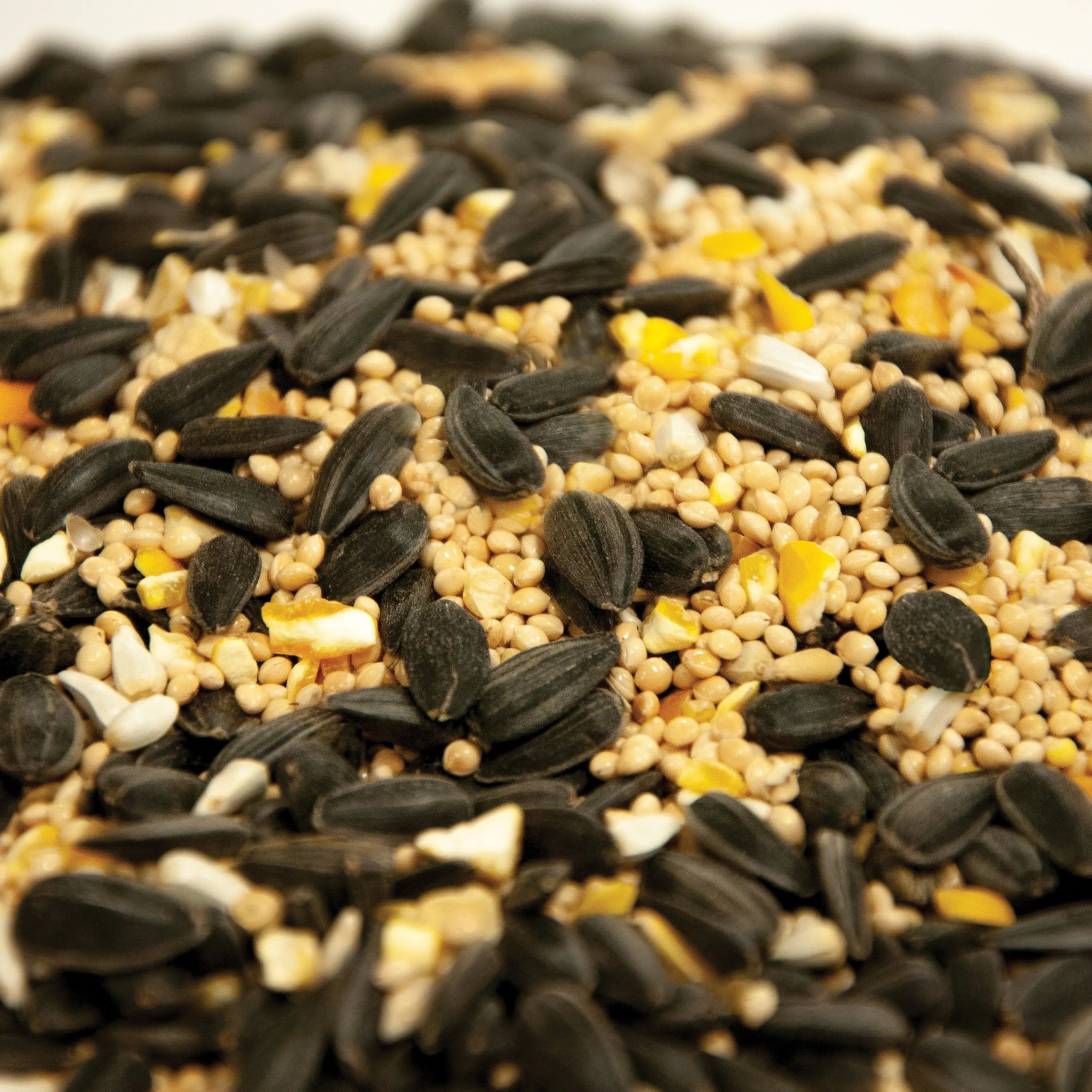 Martha Stewart MTS-PRMBRDSD 5-LB. Premium Bird Seed
