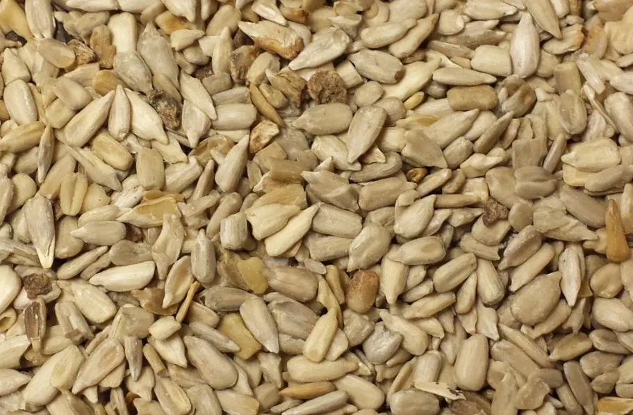 Medium Sunflower Chips Wild Bird Seed
