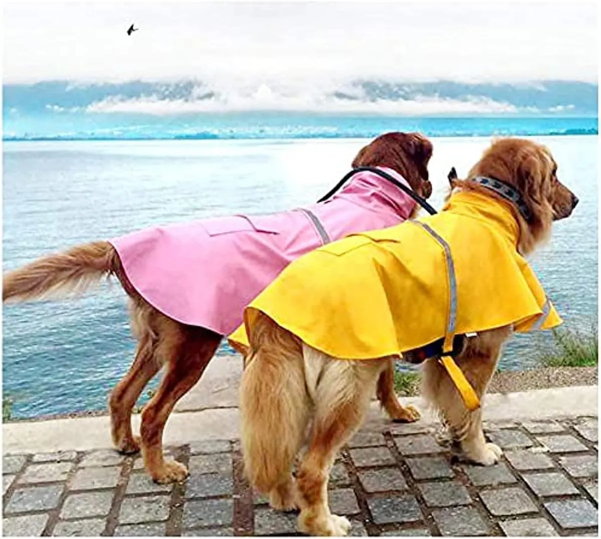 Mikayoo Large Dog Raincoat Adjustable Pet Waterproof Clothes Lightweight Rain Jacket Poncho Hoodies with Strip Reflective(Yellow,M)