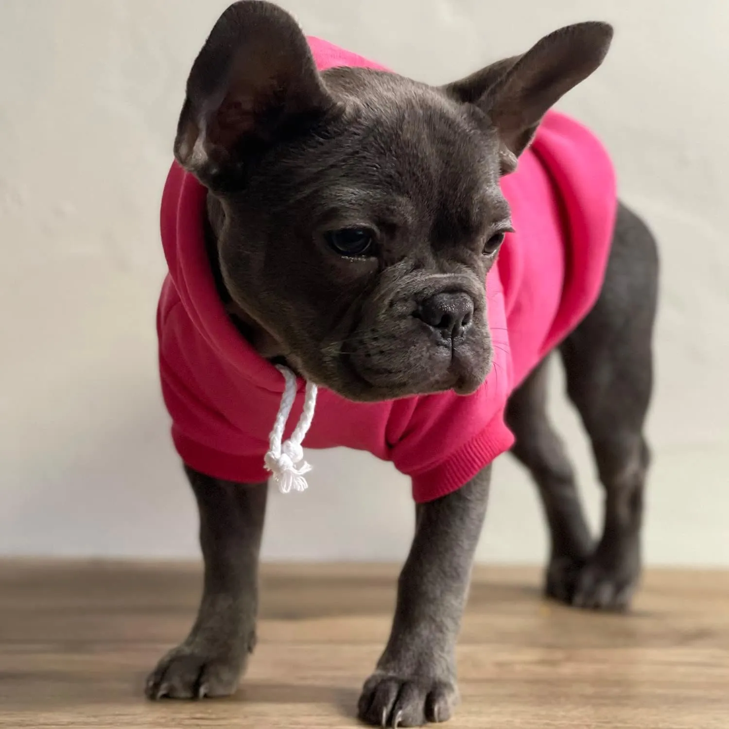 My Humans are Getting Married Annoucement Pullover Fleece Lined Dog Hoodie (Black, Small 224)