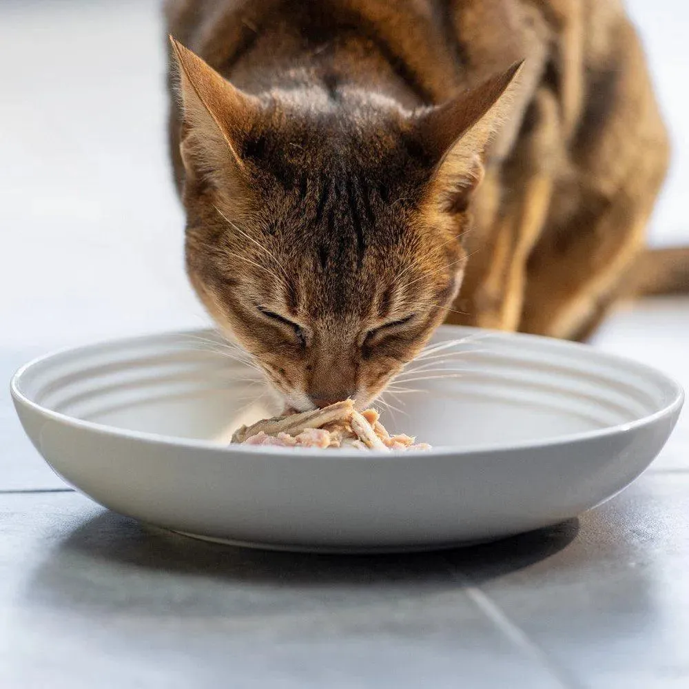 Natural Wet Cat Food Fish Chicken Variety 12 Pack