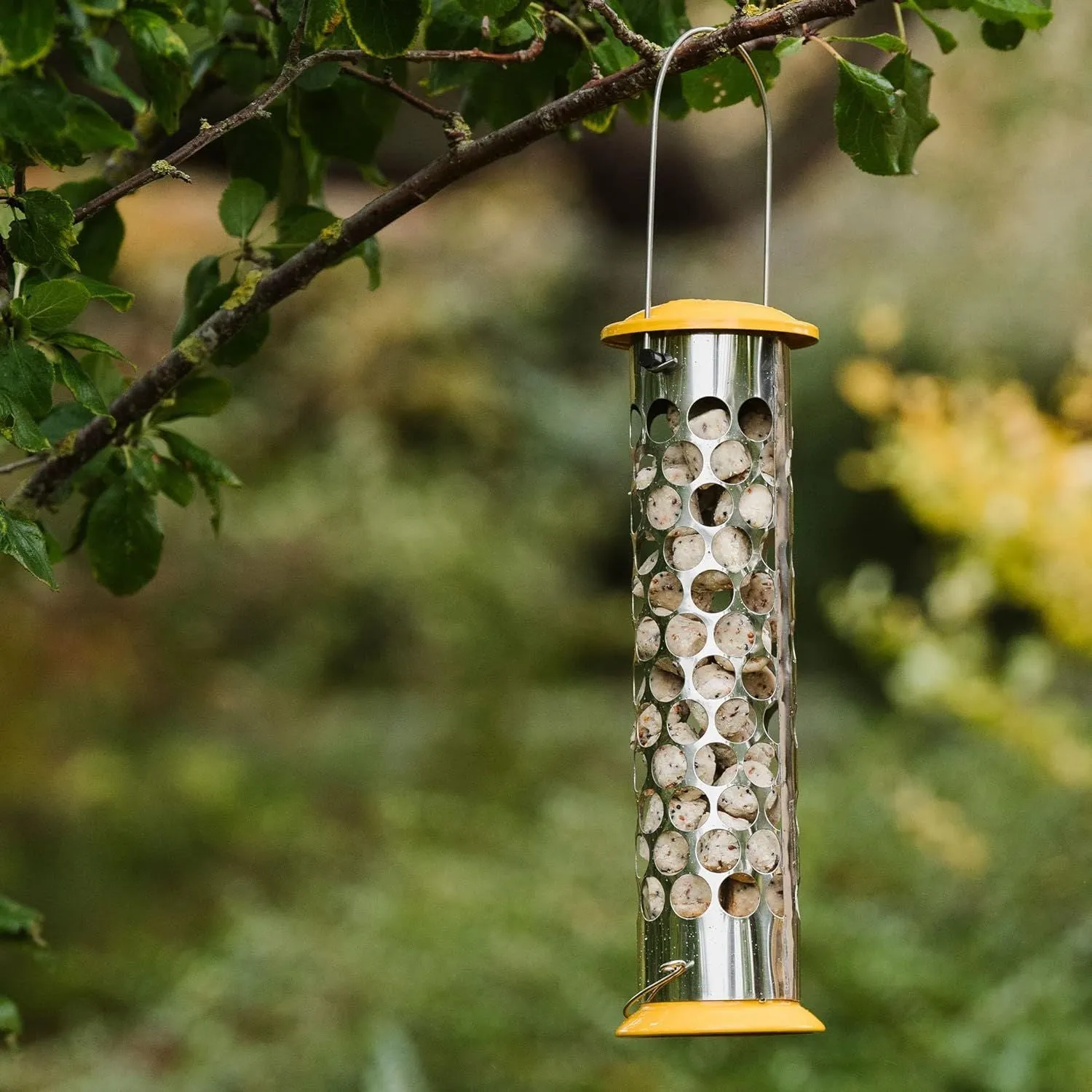 Peckish Extra Goodness High Energy Suet Nuggets for Wild Birds