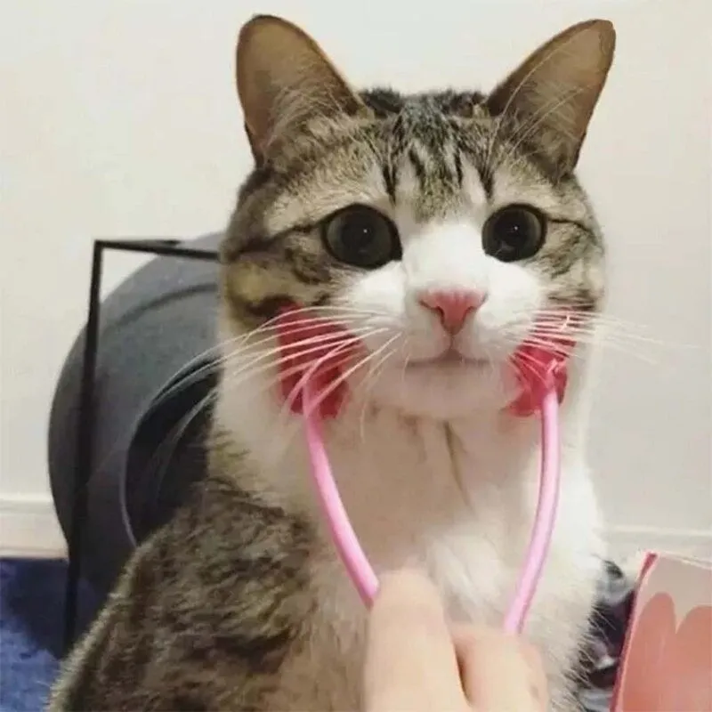 Pet Cat Massage Tool