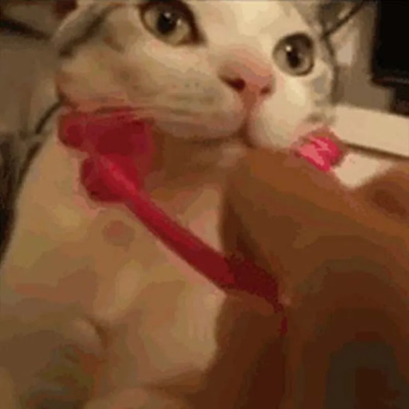 Pet Cat Massage Tool