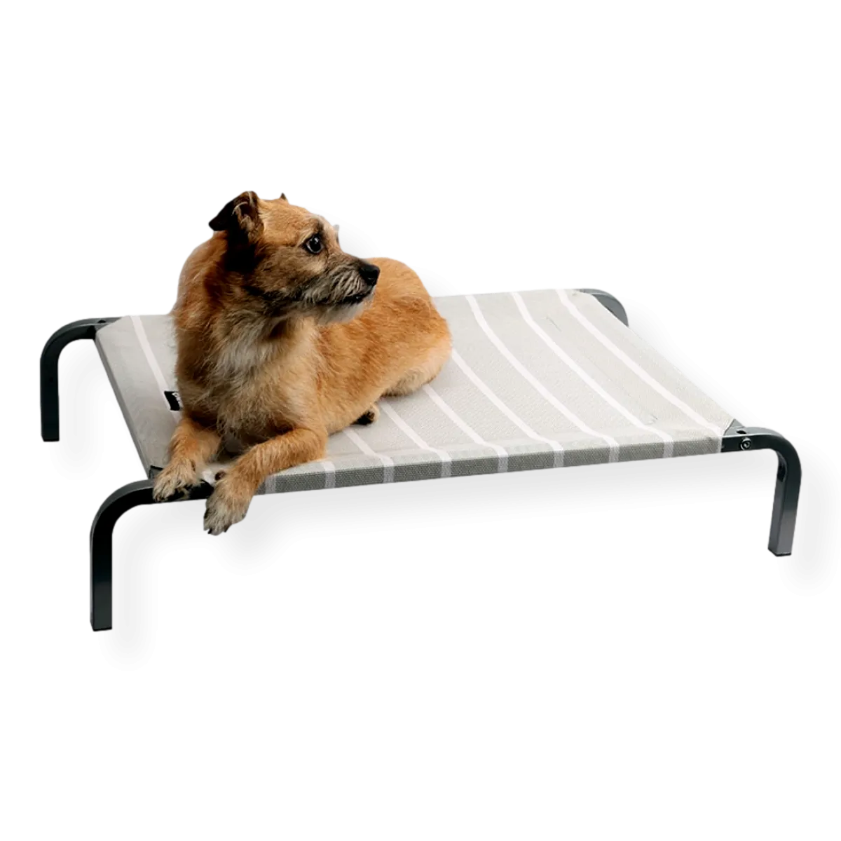Pet One Leisure Raised Dog Bed Grey & White Medium